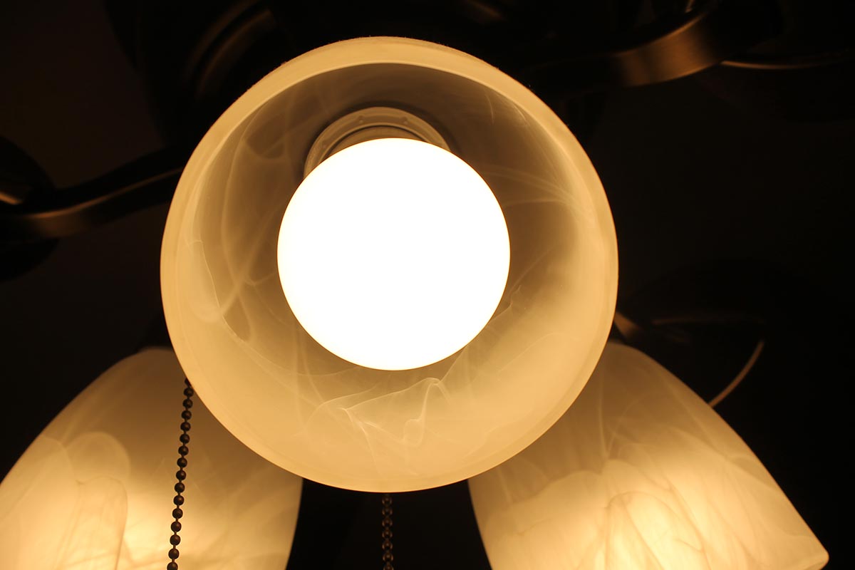 Feit Electric LED Light Bulb Close Up of Light On