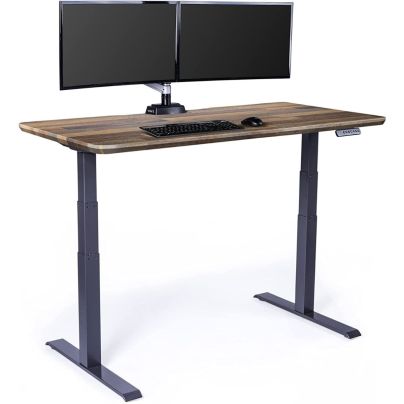 Vari Electric Standing Desk with a monitor on a white background