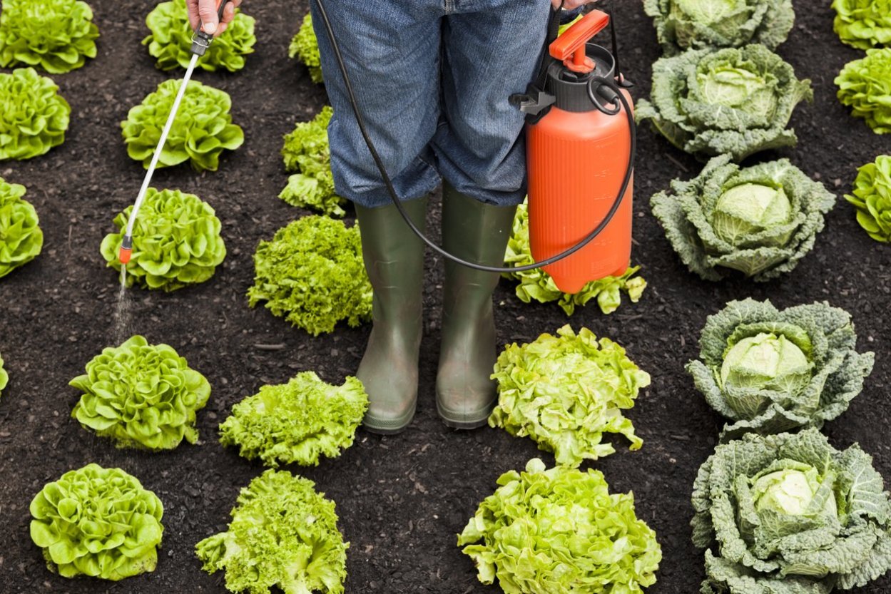 Spraying Insecticide: 6 Things to Know Before You Start - Bob Vila