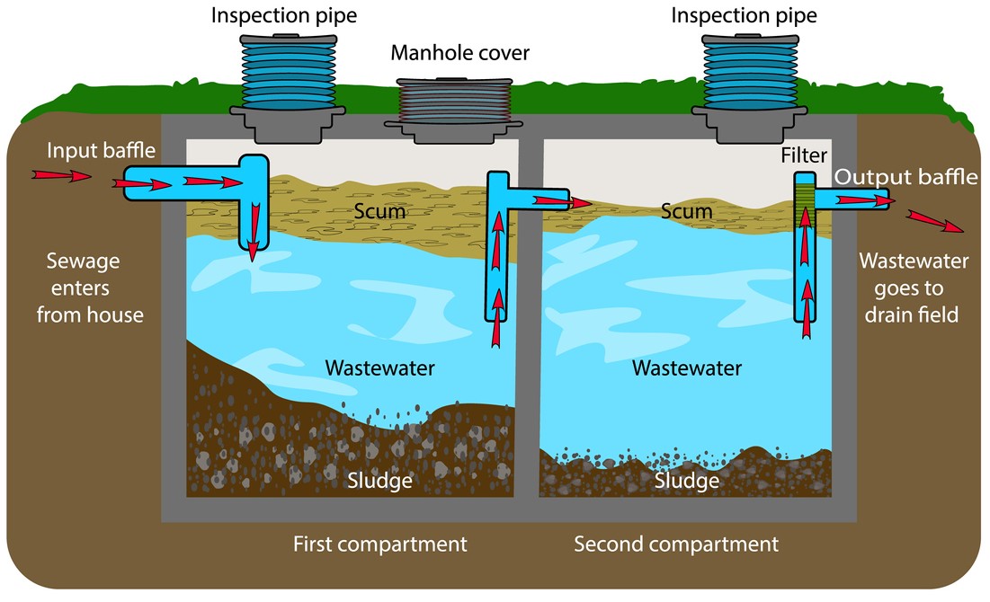 How Does a Septic System Work? This Diagram Explains