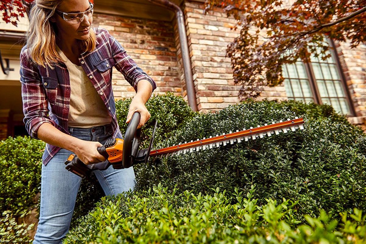 A person using the best hedge trimmer option to trim a hedge