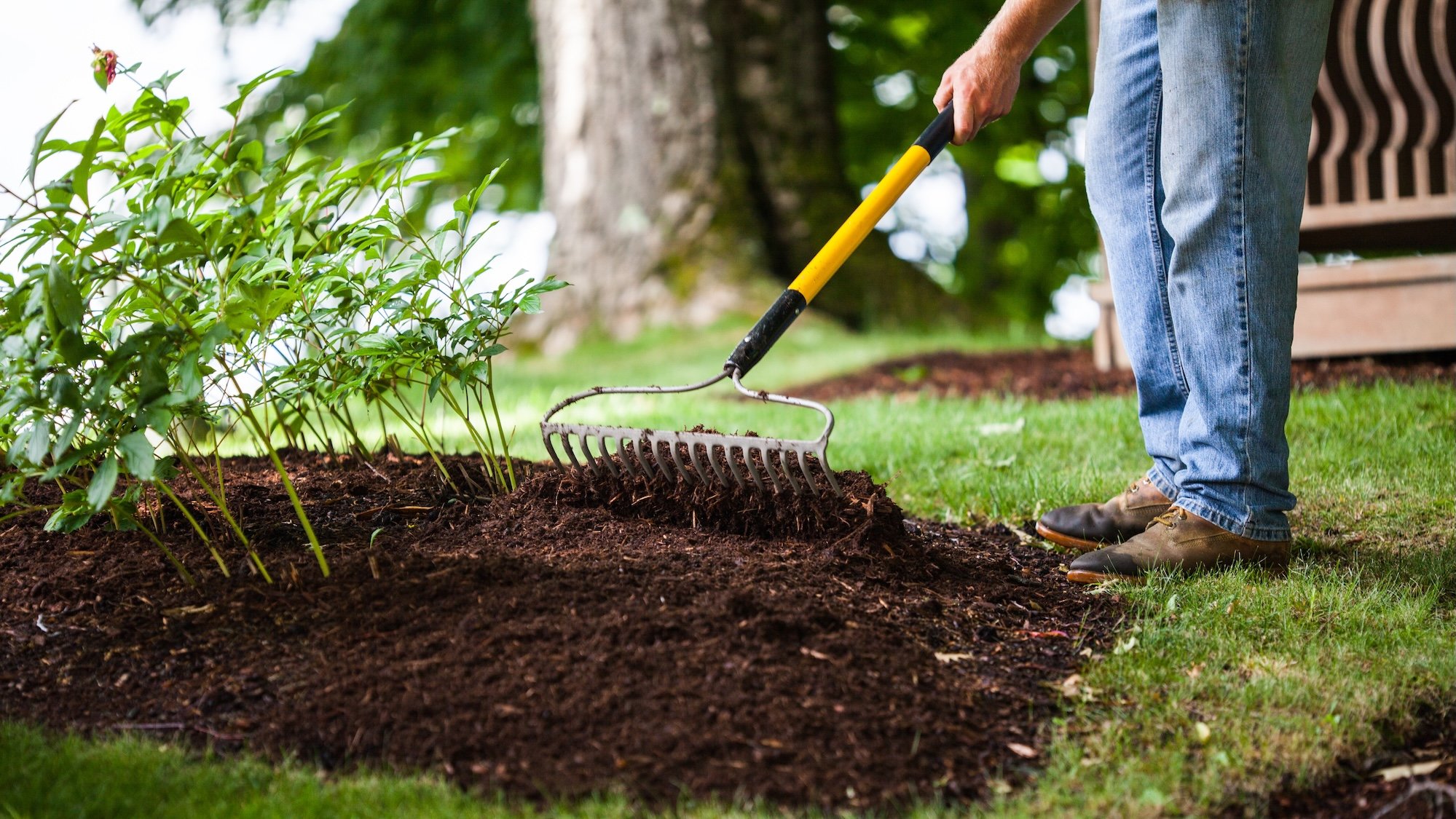 The Dos and Don’ts of Mulching the Garden