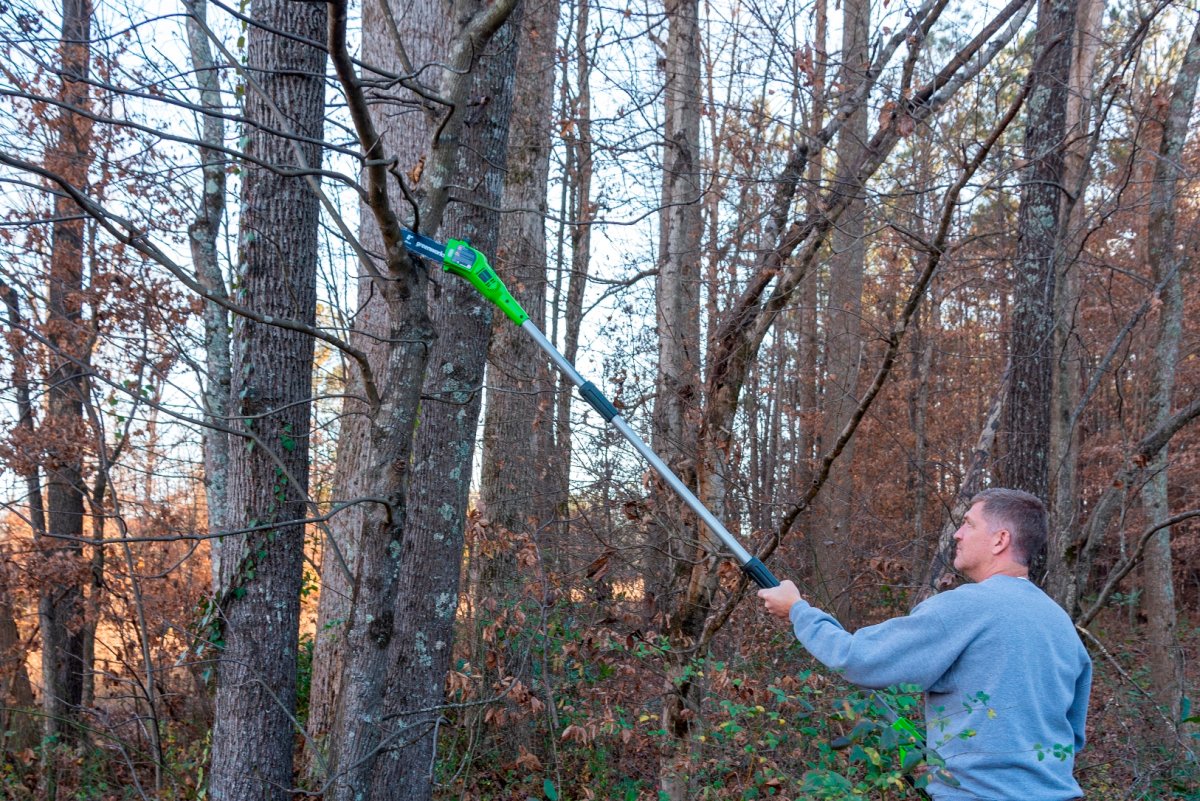 The Best Pole Saw Option