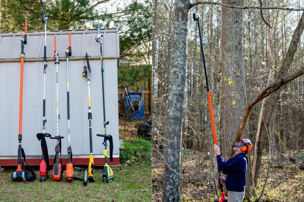 A group of the best pole saws together before testing.