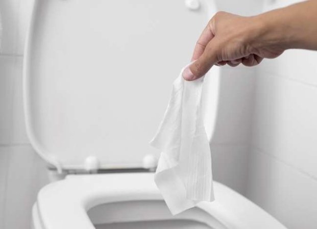 10 Things Never to Flush Down the Toilet