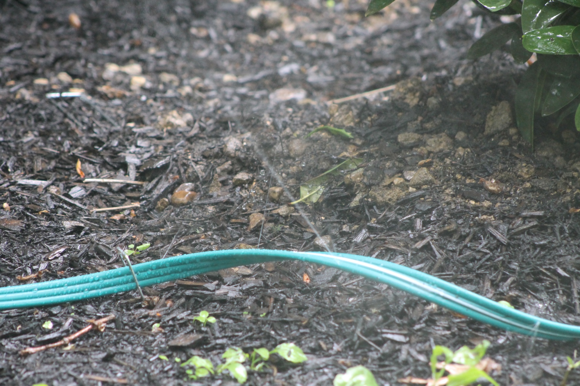 Linex sprinkler soaker hose
