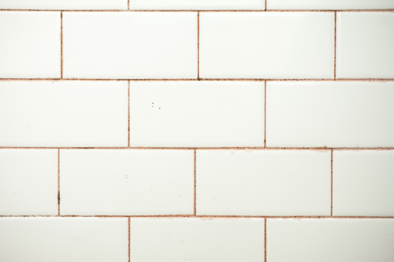 Common Types of Mold in Homes: Pink Mold in the Bathroom
