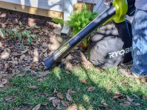 The Best Leaf Vacuums