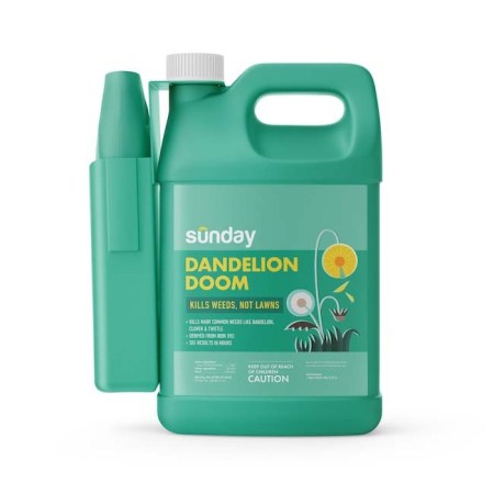 Sunday Dandelion Doom Herbicide