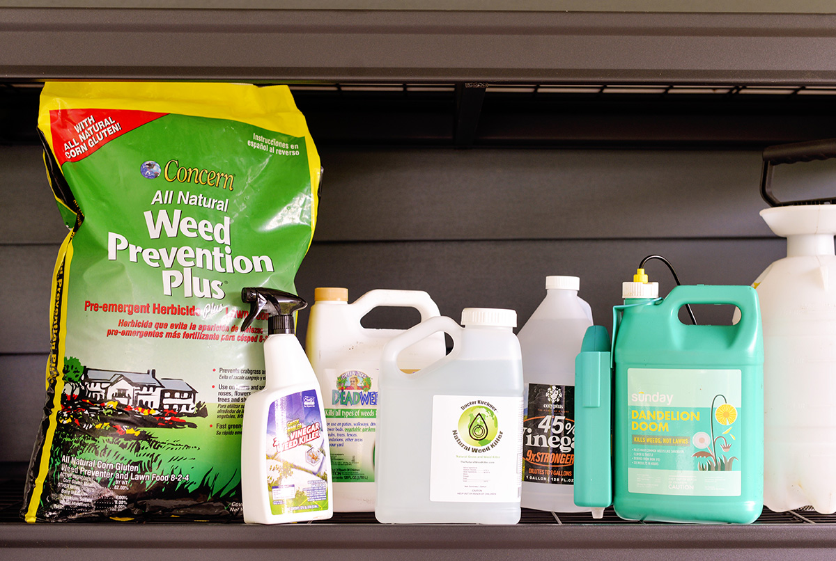 The Best Weed Killer Options