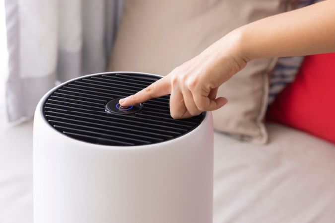 The Best Air Purifiers for Allergies, Vetted