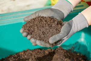 Woman wearing gardening gloves holds a handful of gardening soil over a green plastic container.
