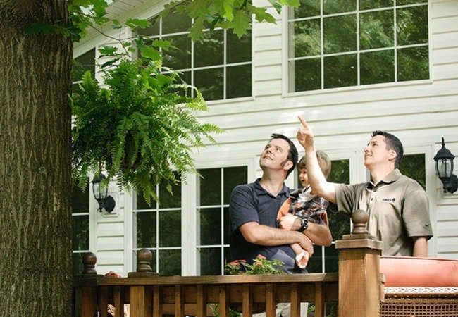 12 Things an Arborist Wishes You Knew