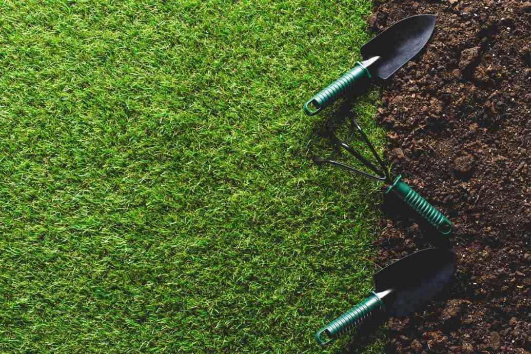 How Long Does it Take Grass to Grow? — Advice From Bob Vila