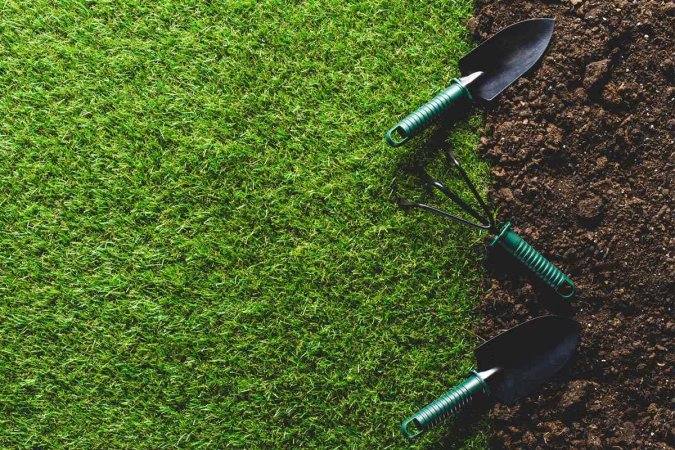 Solved! How Long Does Grass Take to Grow?