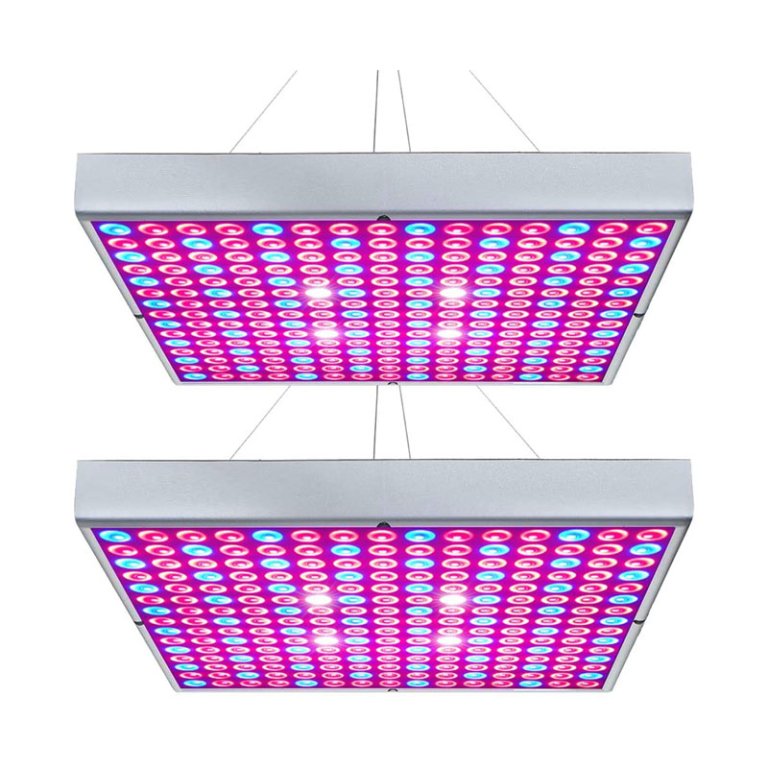 The Best Grow Light Option: Hytekgro 45W LED Grow Light