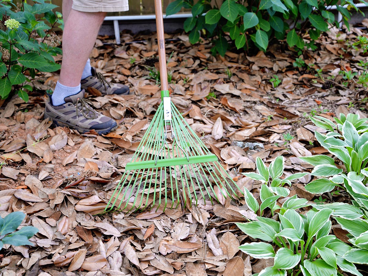A person using the best leaf rakes option to clear dead leaves away from landscaping