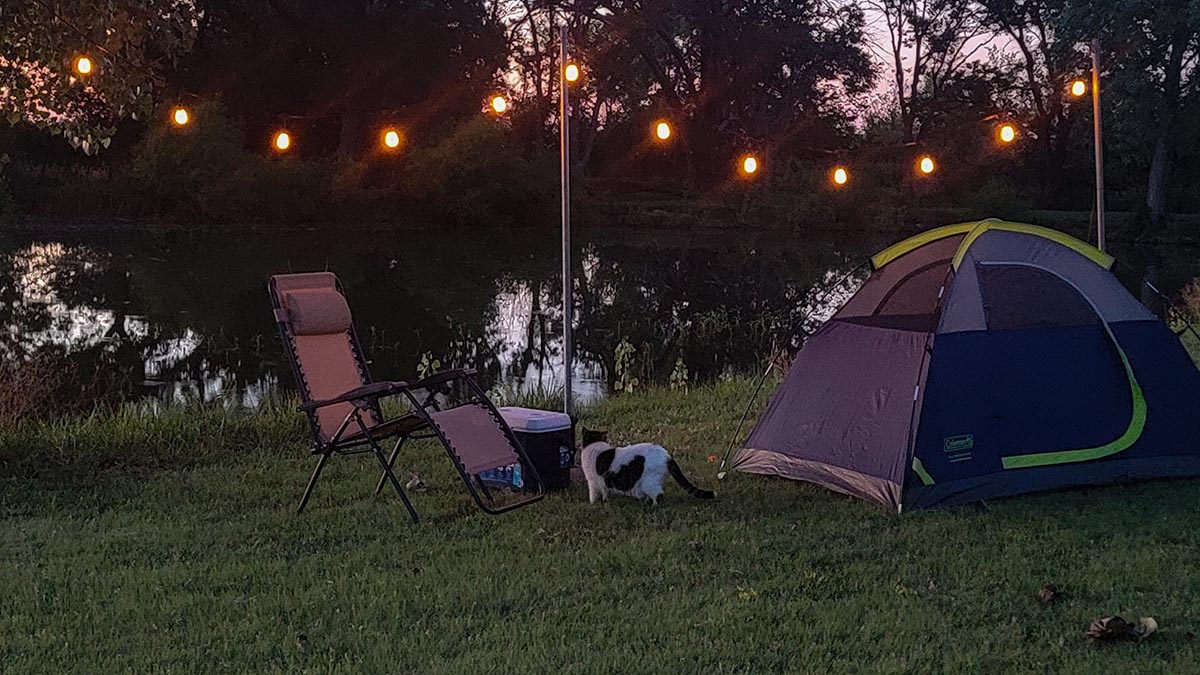 The Best Outdoor String Lights Options 