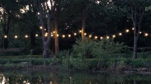 Outdoor String Lights hung on large trees in front of a pond at dusk