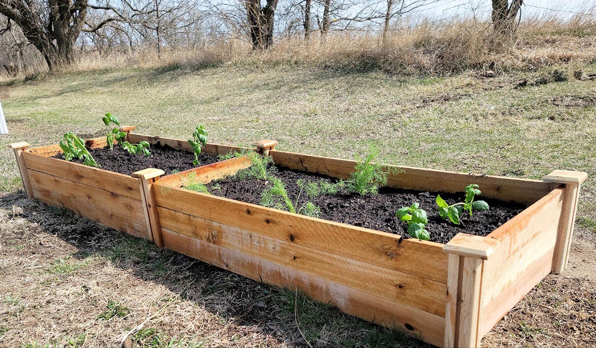 The Best Raised Garden Bed Options