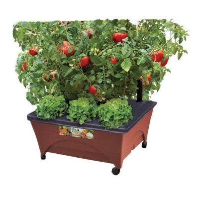 City Pickers Patio Raised Garden Bed with tomato plants on a white background