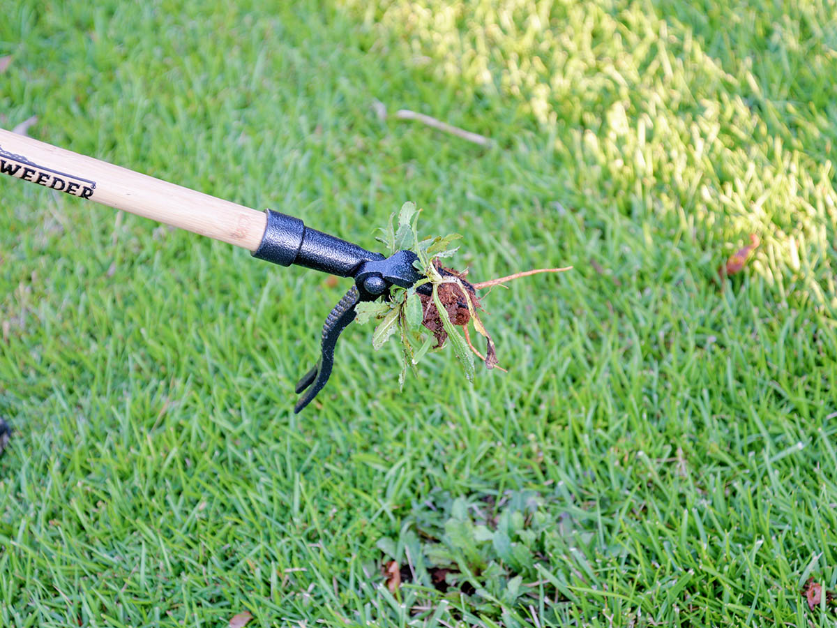 The Best Weeding Tools Types