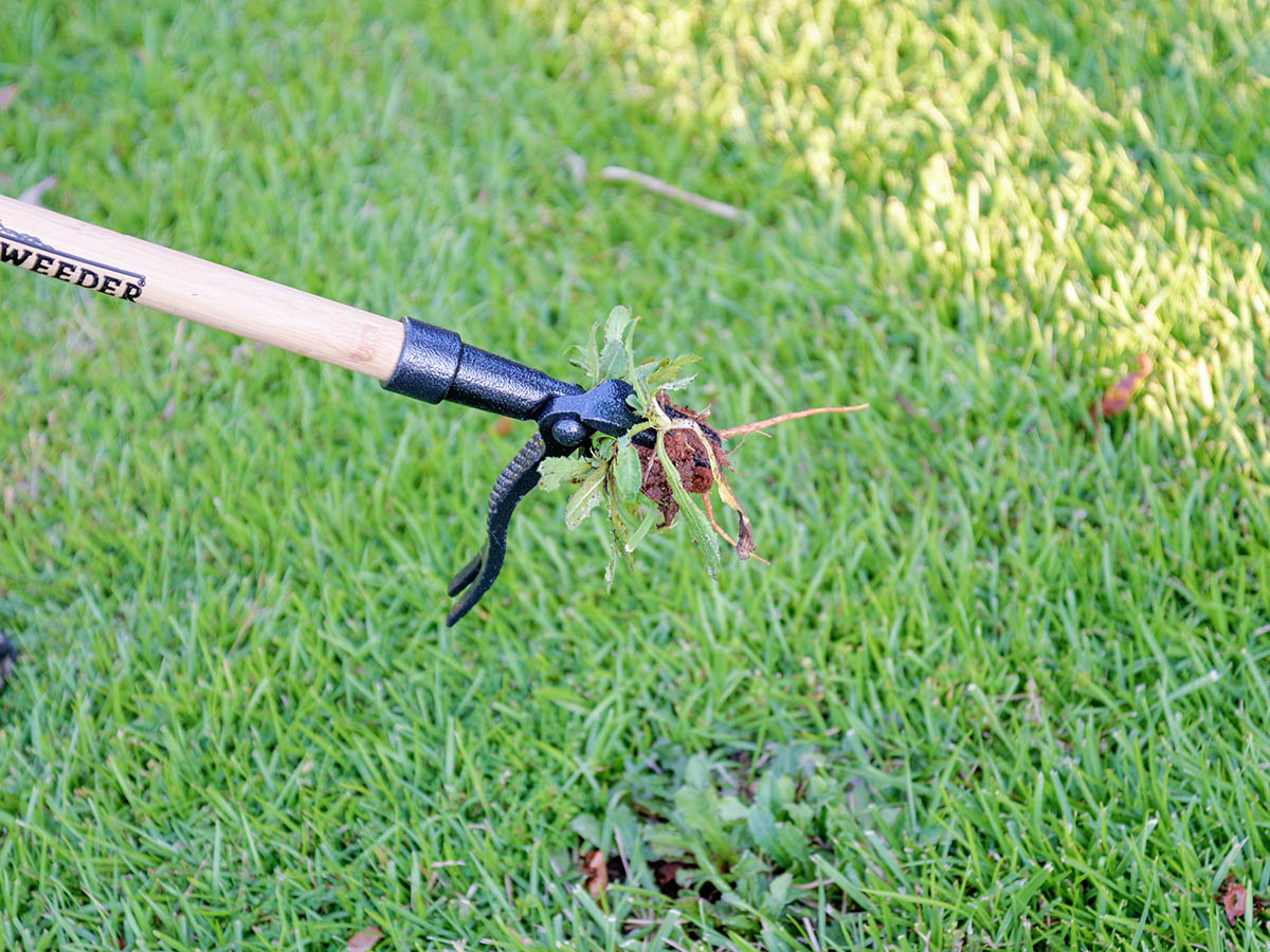 The Best Weeding Tools According to Our Tests - Bob Vila