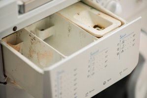The detergent container of a washing machine grows mold and grime.