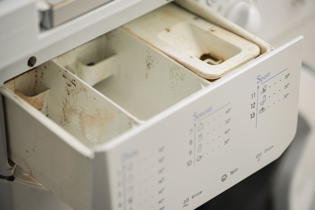 The detergent container of a washing machine grows mold and grime.