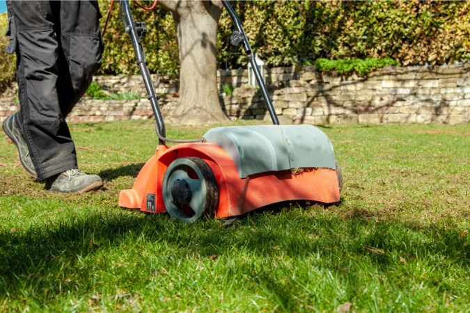 Using a scarifier in the garden to improving quality of the lawn in spring.