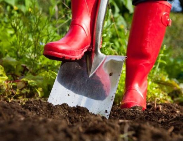 9 Mistakes You’re Making That Are Damaging Your Soil