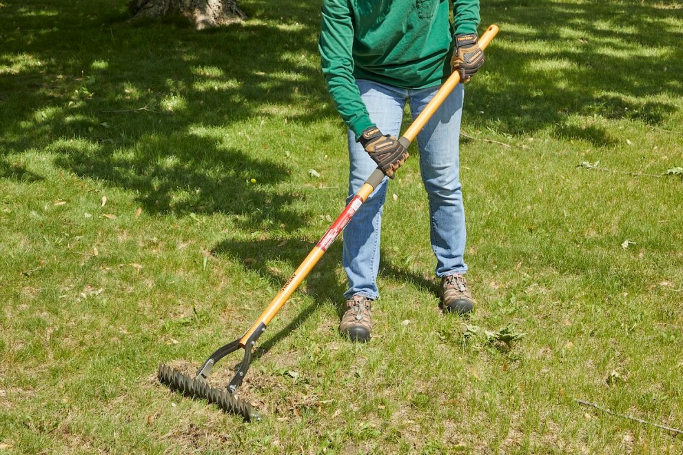 This Is When to Dethatch a Lawn, and Which Tools Work Best