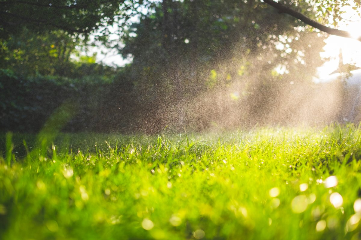 Summery, sunny day with grassy field view.