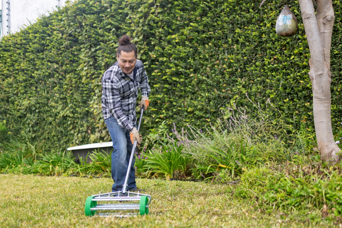 Person using aerator roller on lawn.