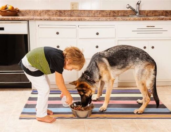 25 of the Best Household Chores for Kids of Every Age