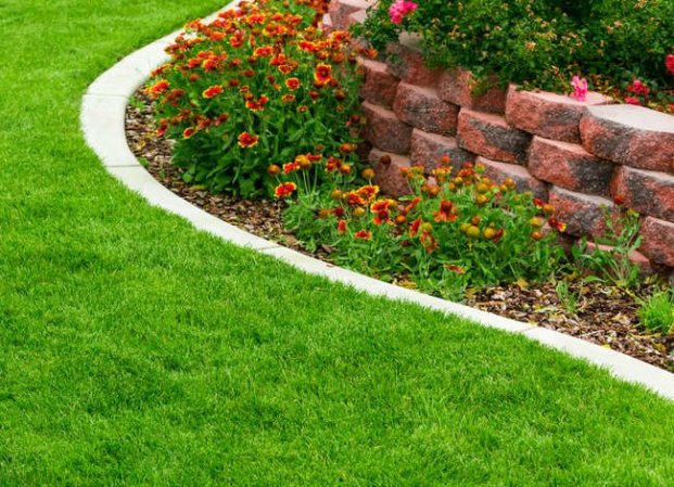 15 Affordable Landscaping Projects You Can DIY in a Day