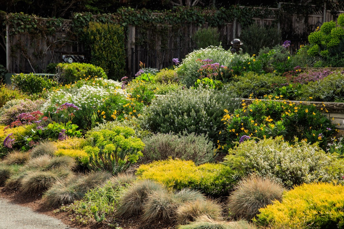 Protect Your Property From Erosion With These 10 Plants