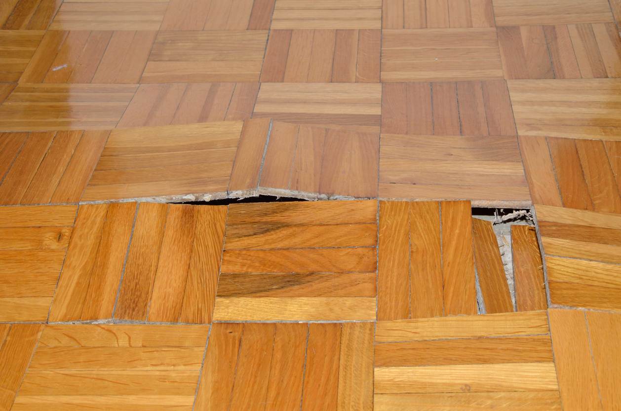 Determine the Type of Damage Before You Replace a Subfloor