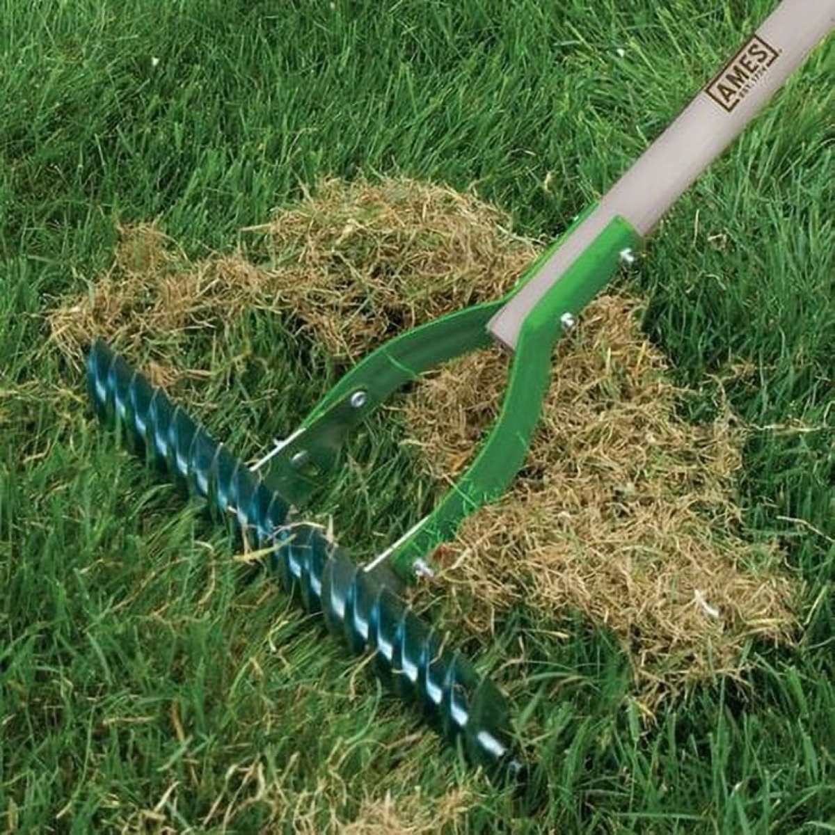 Thatching rake used on lawn.