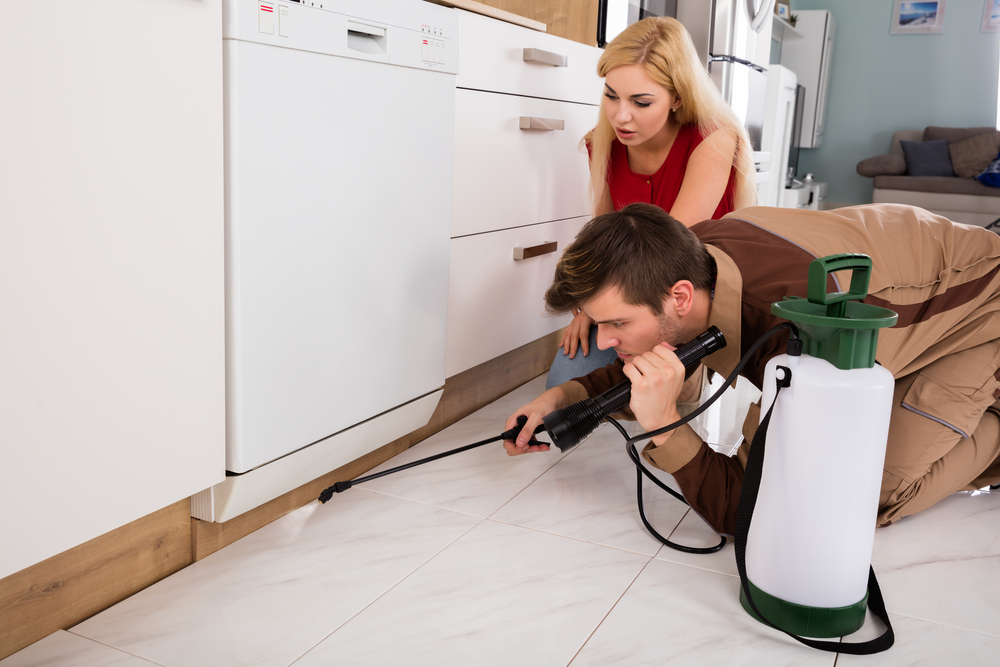 A couple crouched on their kitchen floor with a flashlight while spraying the best roach killer option under their appliances and cabinets.