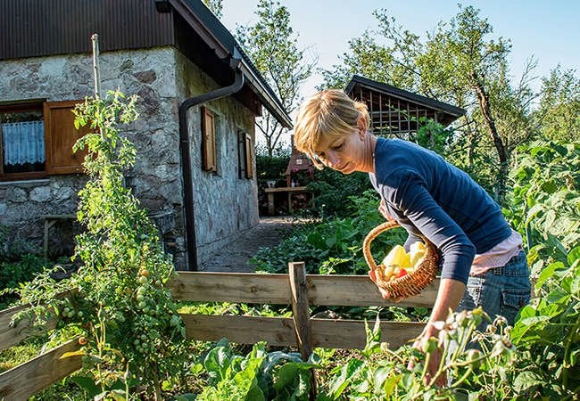 20 Ways Homeowners Can Be More Self-Sufficient