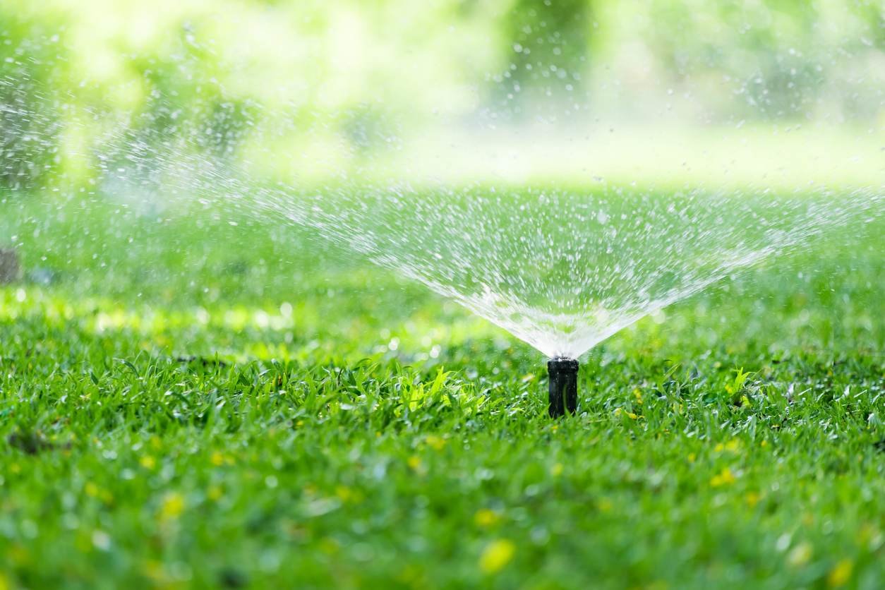 How to Replace a Sprinkler Head: Testing the Sprinkler