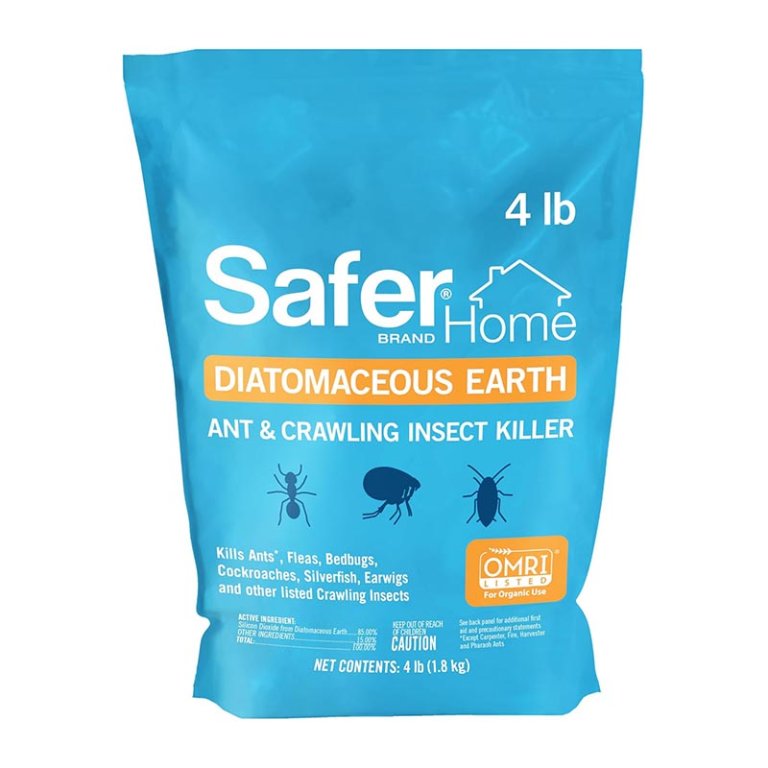 The Best Ant Killer Option Safer Brand 51703 OMRI Listed Diatomaceous Earth