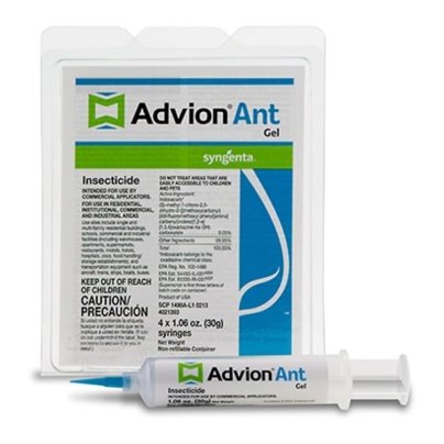 The Best Ant Killer Option Syngenta 53204 Advion 30 Gram Ant Gel