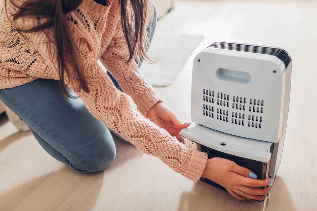 The Best Dehumidifier Options