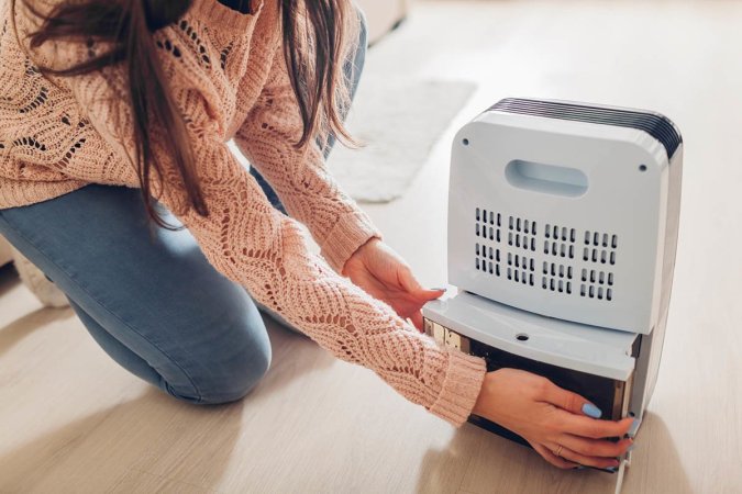 The Best Whole-House Dehumidifiers