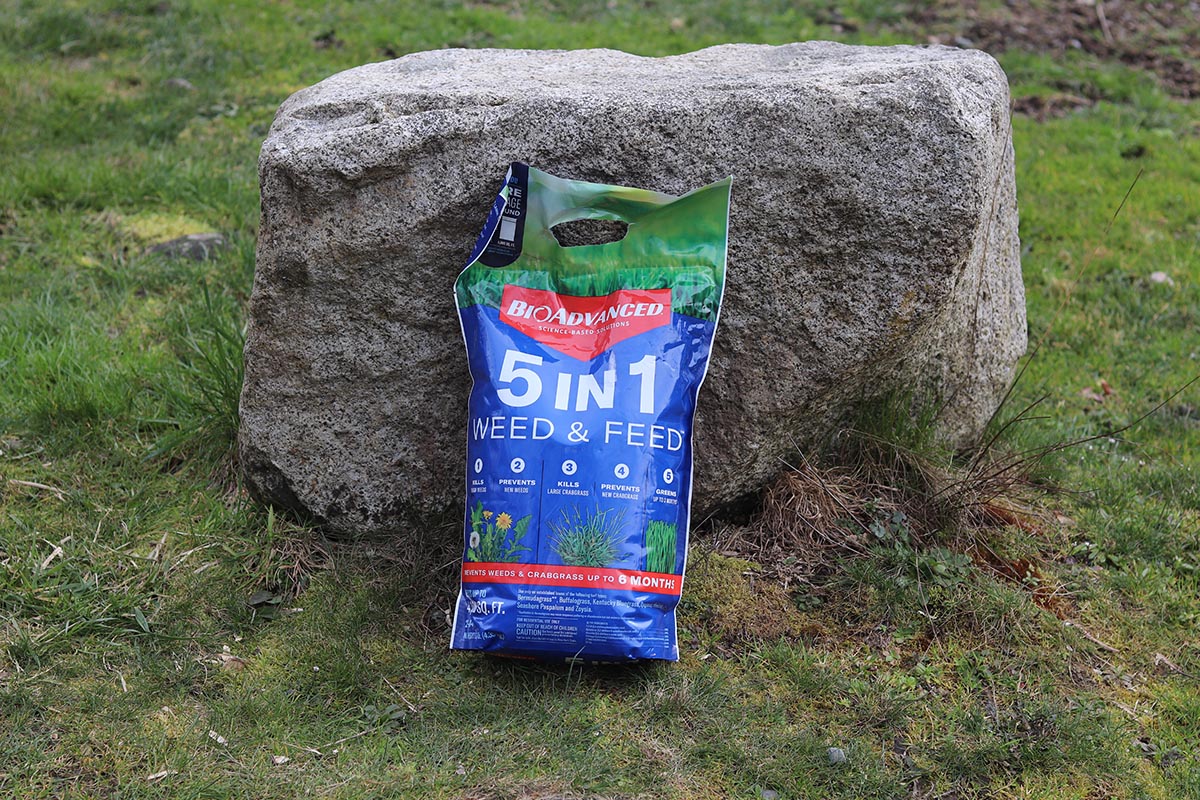 The Best Weed and Feed Product Options