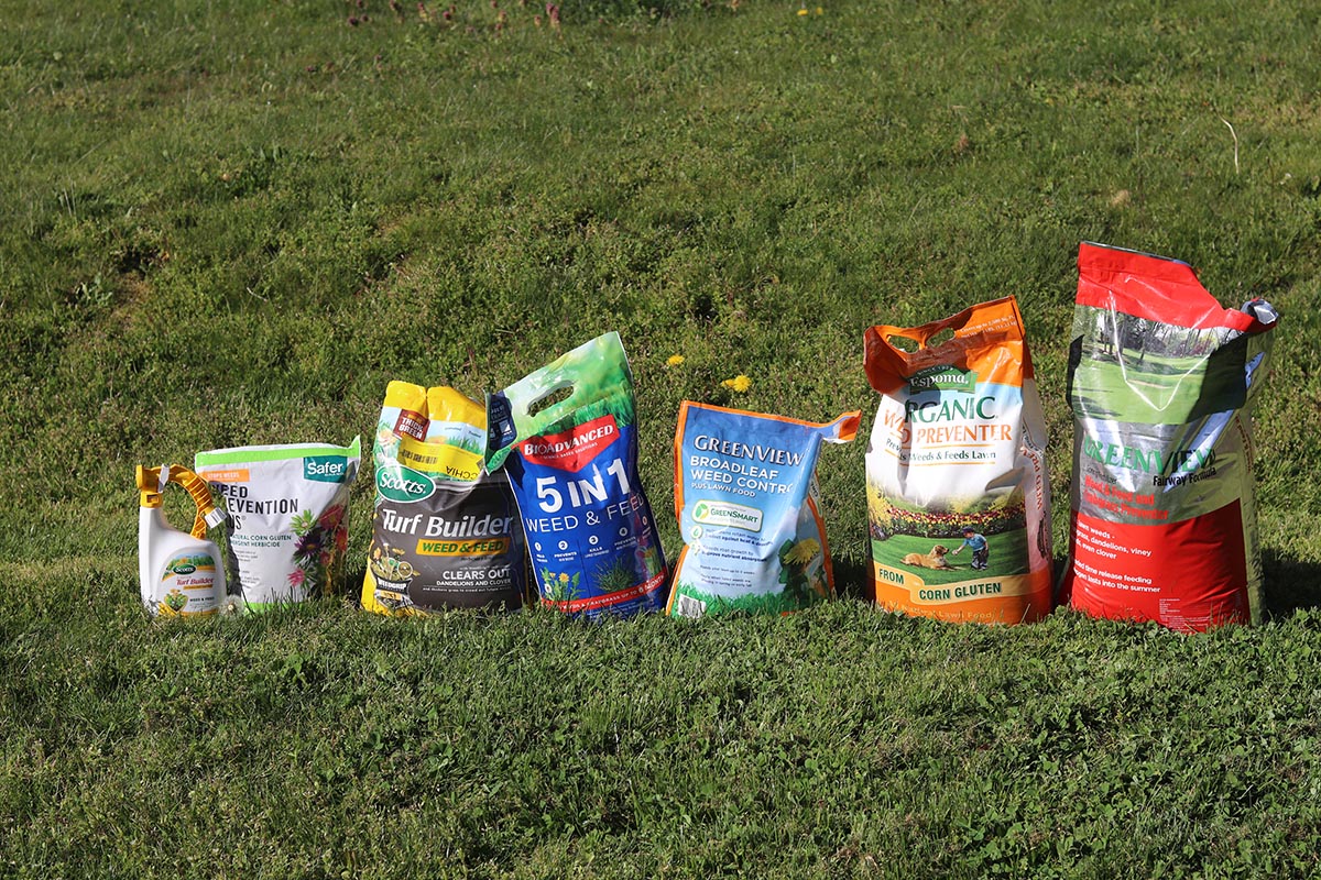 A group of the Best Weed and Feeds on a green lawn before testing.
