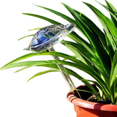 The Best Automatic Plant Waterer Option: WonderKathy Glass Automatic Plant Watering Globes
