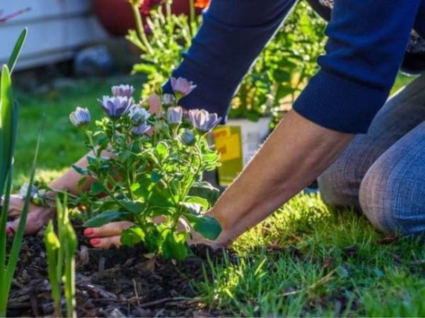 12 Ways to Wake Up Your Yard for Spring